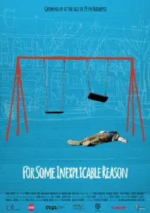 for_some_inexplicable_reason_poster